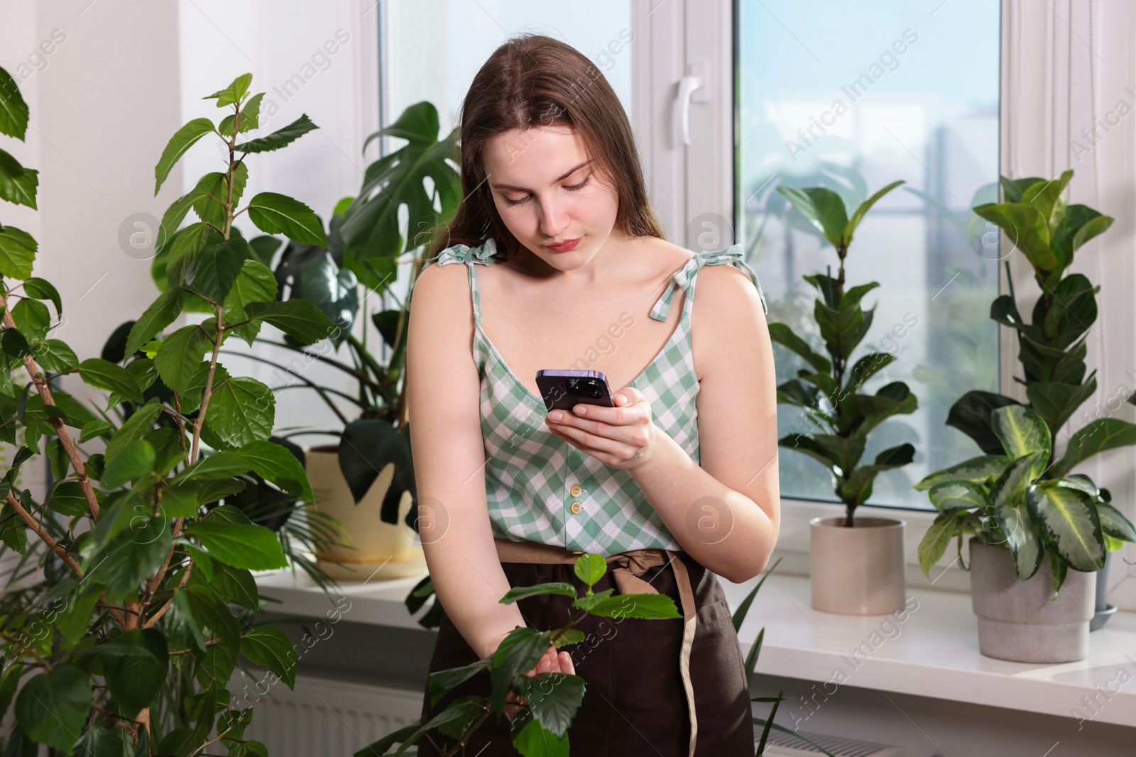 Photo of Woman using houseplant recognition application on smartphone indoors