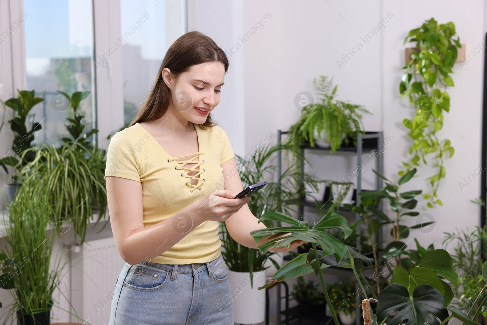 Photo of Woman using houseplant recognition application on smartphone indoors