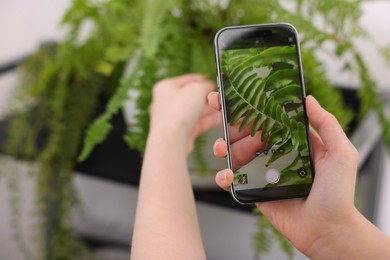 Photo of Woman using houseplant recognition application on smartphone indoors, closeup