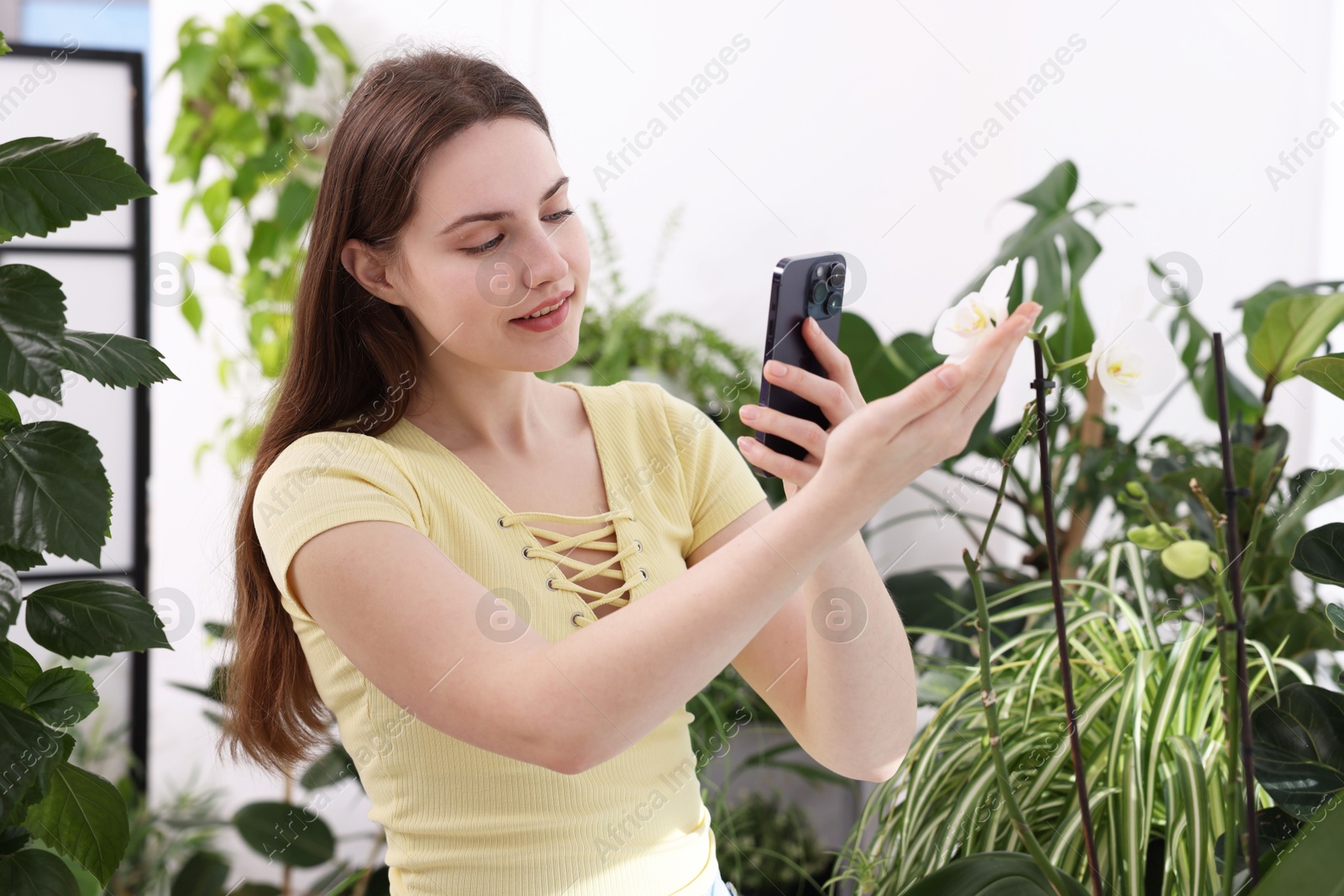 Photo of Woman using houseplant recognition application on smartphone indoors