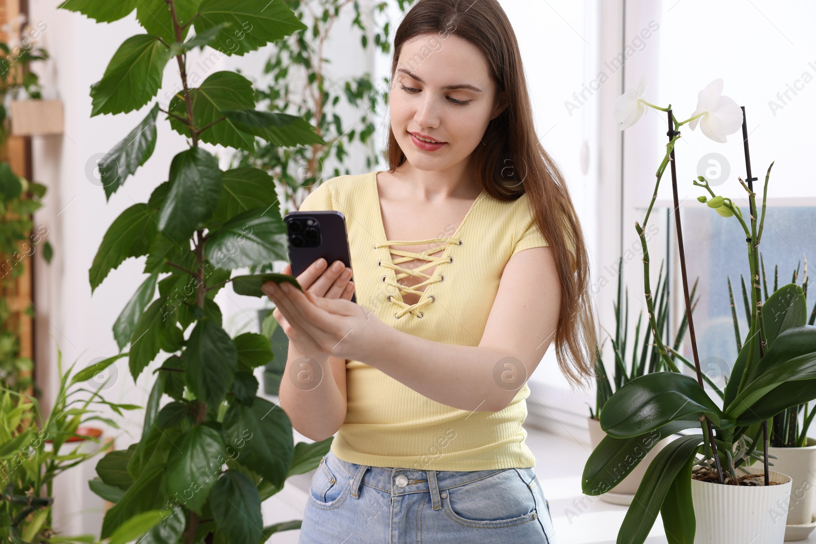 Photo of Woman using houseplant recognition application on smartphone indoors