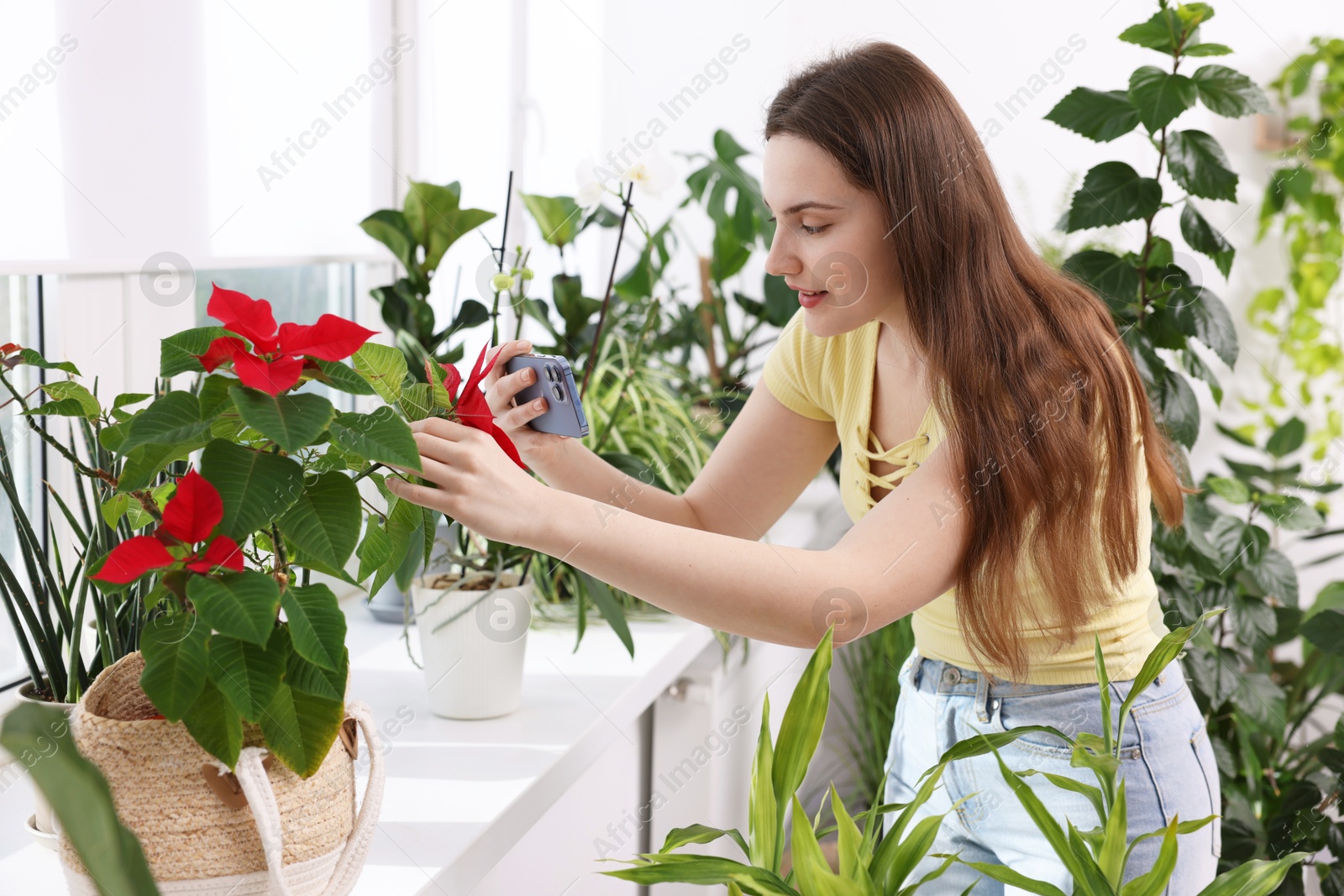 Photo of Woman using houseplant recognition application on smartphone at window sill indoors