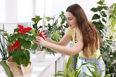 Woman using houseplant recognition application on smartphone at window sill indoors