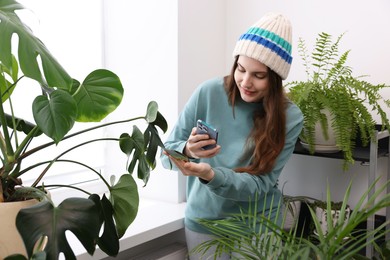 Photo of Woman using houseplant recognition application on smartphone indoors