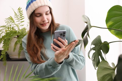 Woman using houseplant recognition application on smartphone indoors