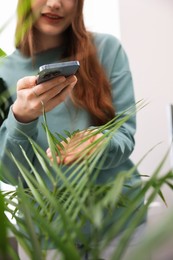 Woman using houseplant recognition application on smartphone indoors, closeup