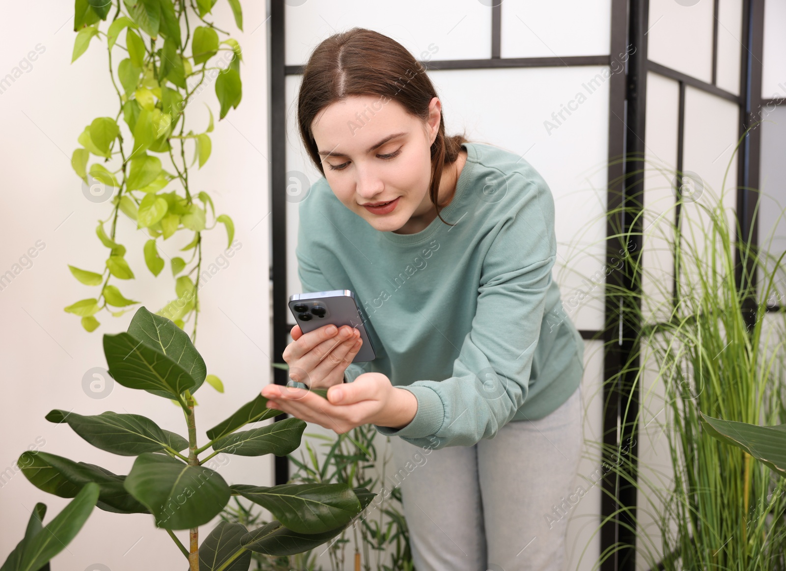 Photo of Woman using houseplant recognition application on smartphone indoors