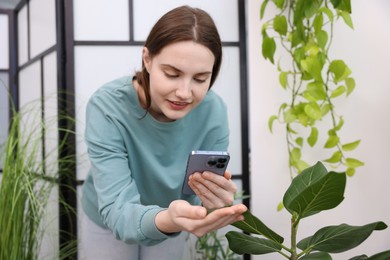 Photo of Woman using houseplant recognition application on smartphone indoors