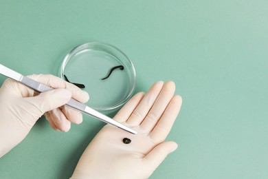 Photo of Woman holding medicinal leech and tweezers on green background, top view. Space for text