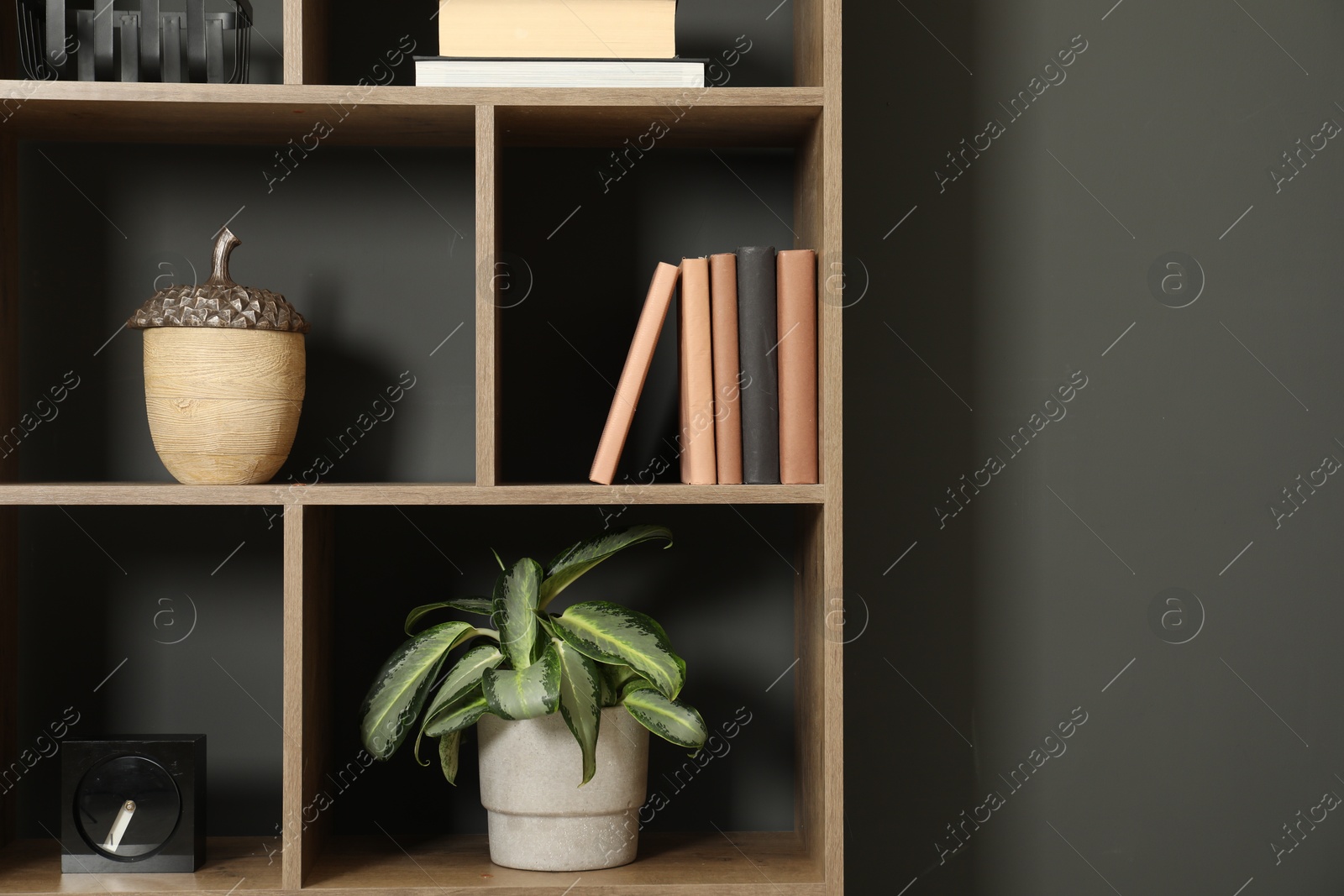 Photo of Shelving unit with decor neat grey wall indoors, closeup. Space for text