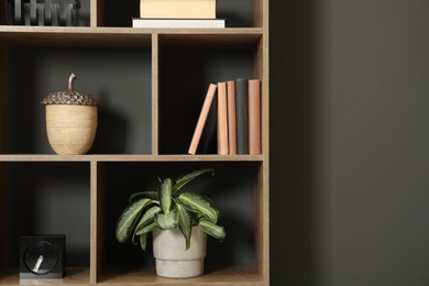 Shelving unit with decor neat grey wall indoors, closeup. Space for text