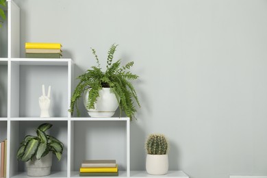 Photo of Shelving unit with green houseplants and other decor near light grey wall indoors, space for text