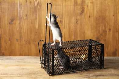 Metal mouse trap and rats on wooden table, space for text