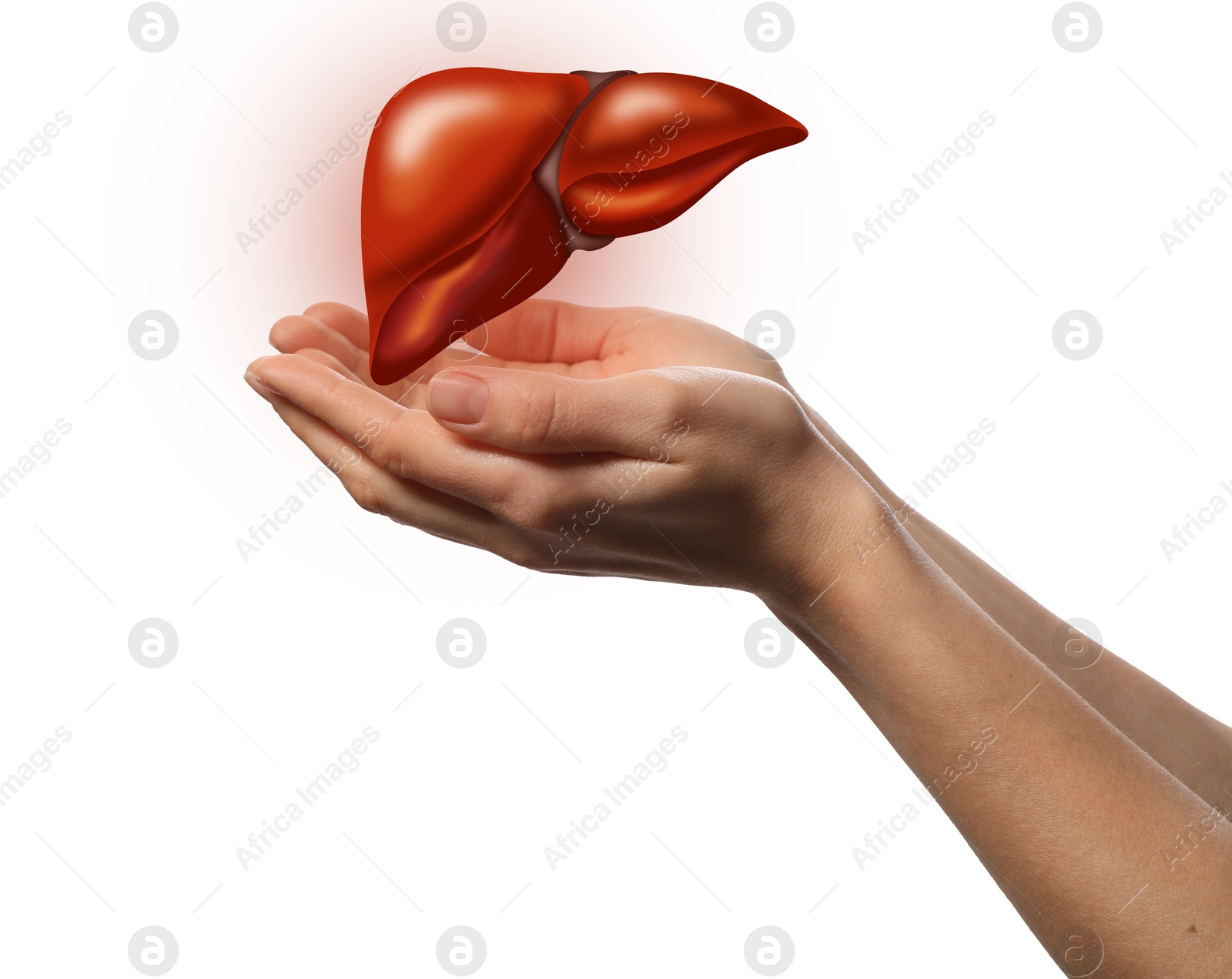 Image of Woman holding illustration of liver on white background, closeup