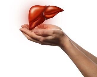 Image of Woman holding illustration of liver on white background, closeup