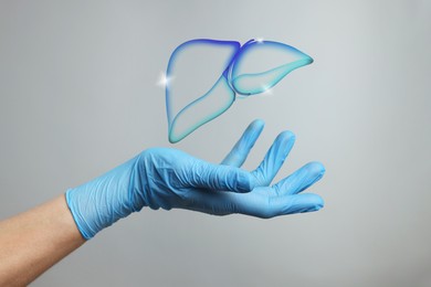 Image of Doctor holding illustration of liver on grey background, closeup