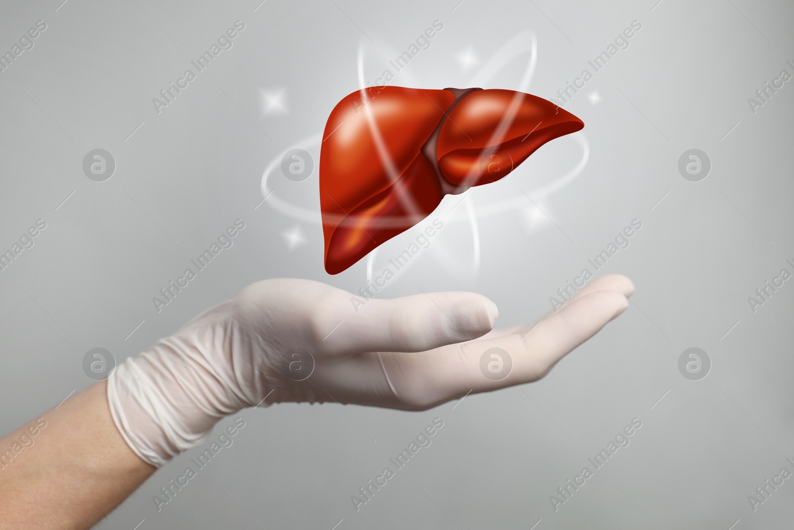 Image of Doctor holding illustration of liver on grey background, closeup