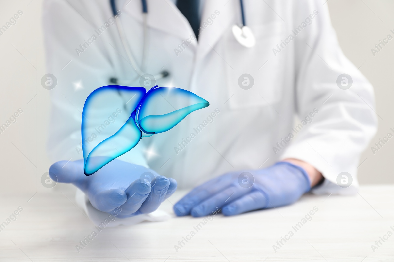 Image of Doctor holding illustration of liver at table, closeup