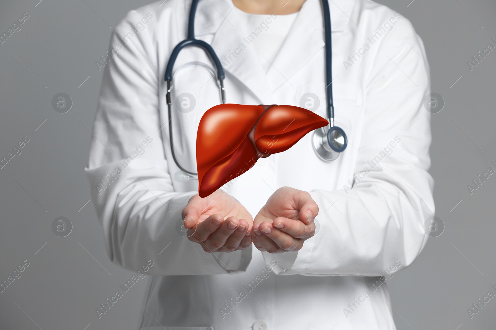 Image of Doctor holding illustration of liver on grey background, closeup