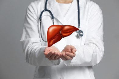 Doctor holding illustration of liver on grey background, closeup