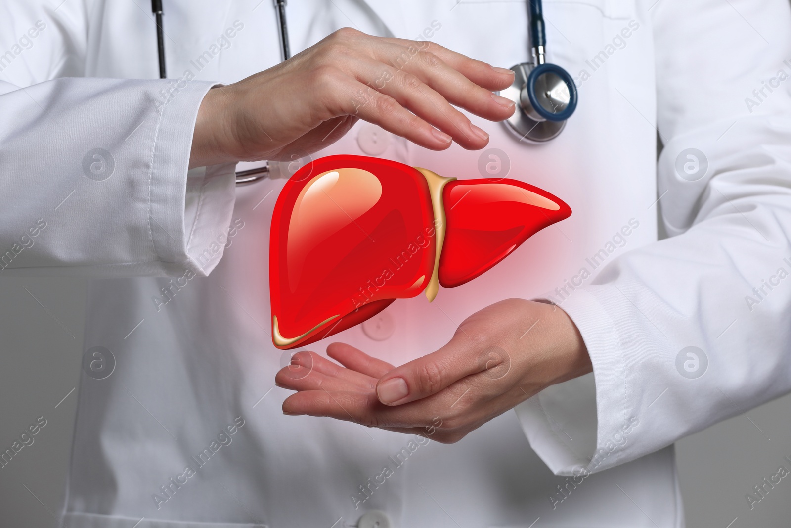 Image of Doctor holding illustration of liver on grey background, closeup