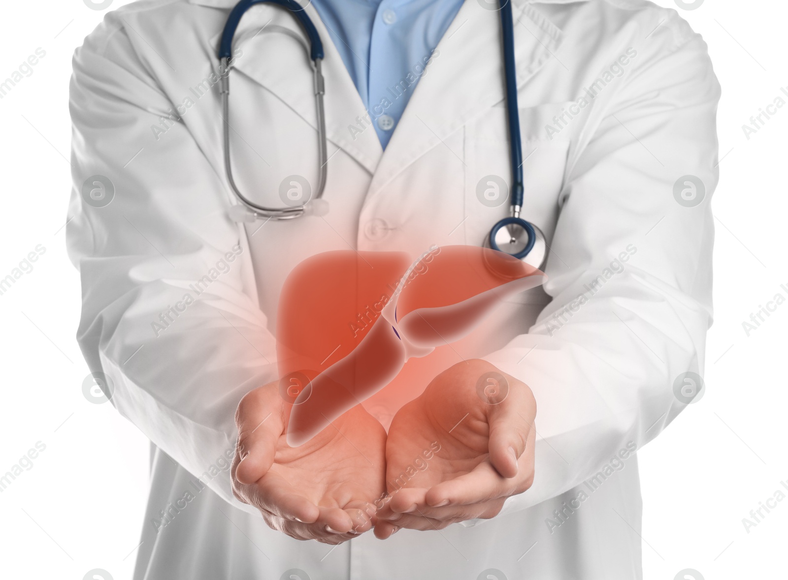 Image of Doctor holding illustration of liver on white background, closeup