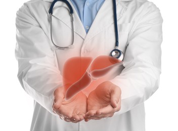 Doctor holding illustration of liver on white background, closeup