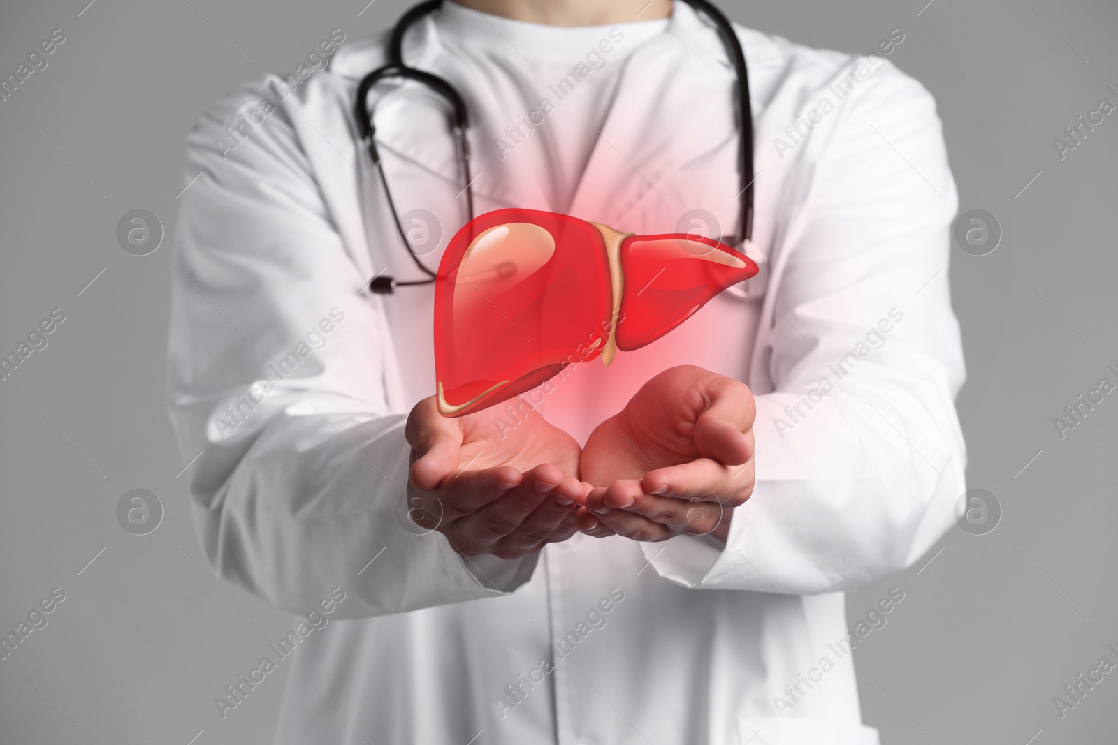 Image of Doctor holding illustration of liver on grey background, closeup