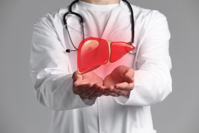 Doctor holding illustration of liver on grey background, closeup