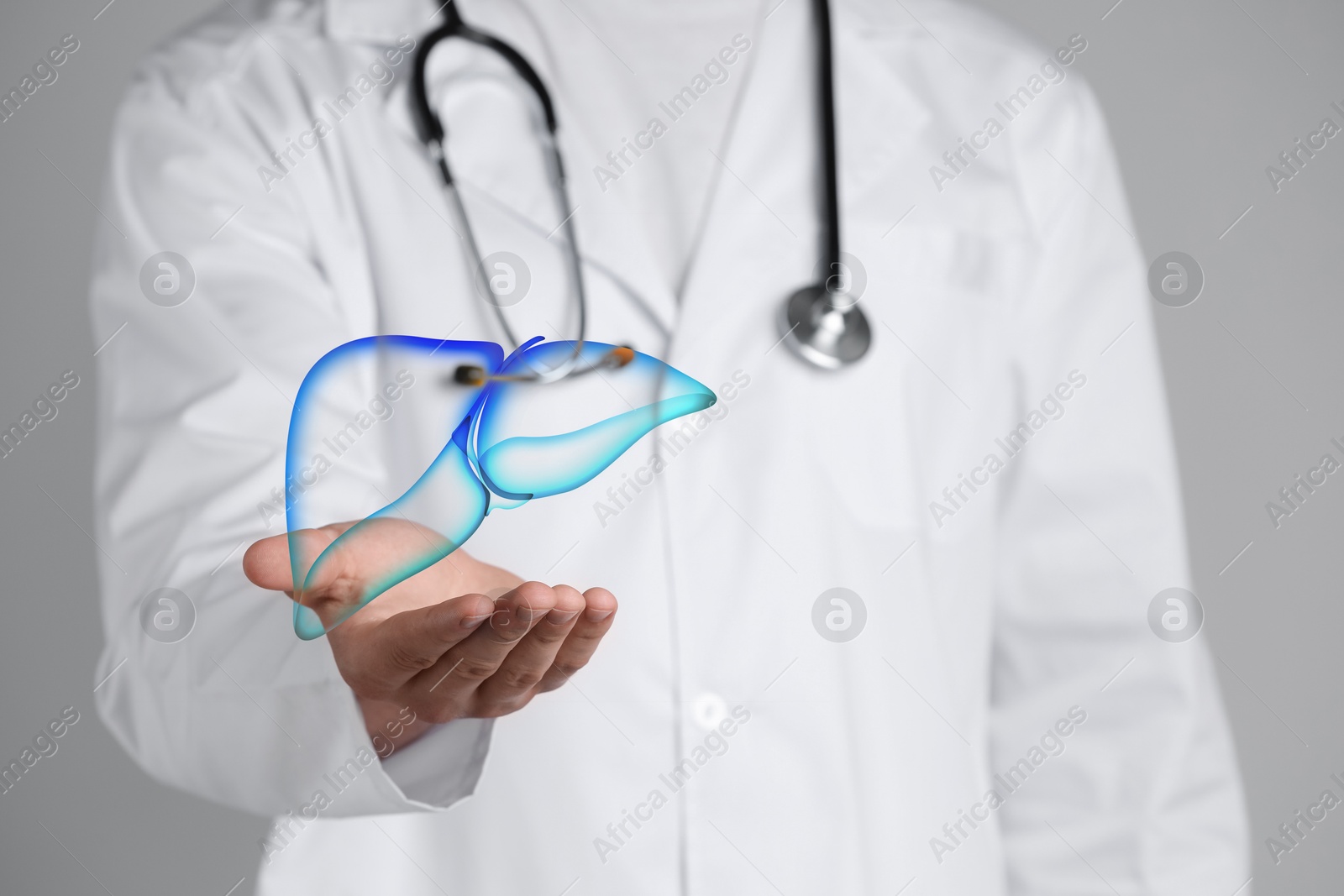 Image of Doctor holding illustration of liver on grey background, closeup