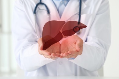 Image of Doctor holding illustration of liver indoors, closeup