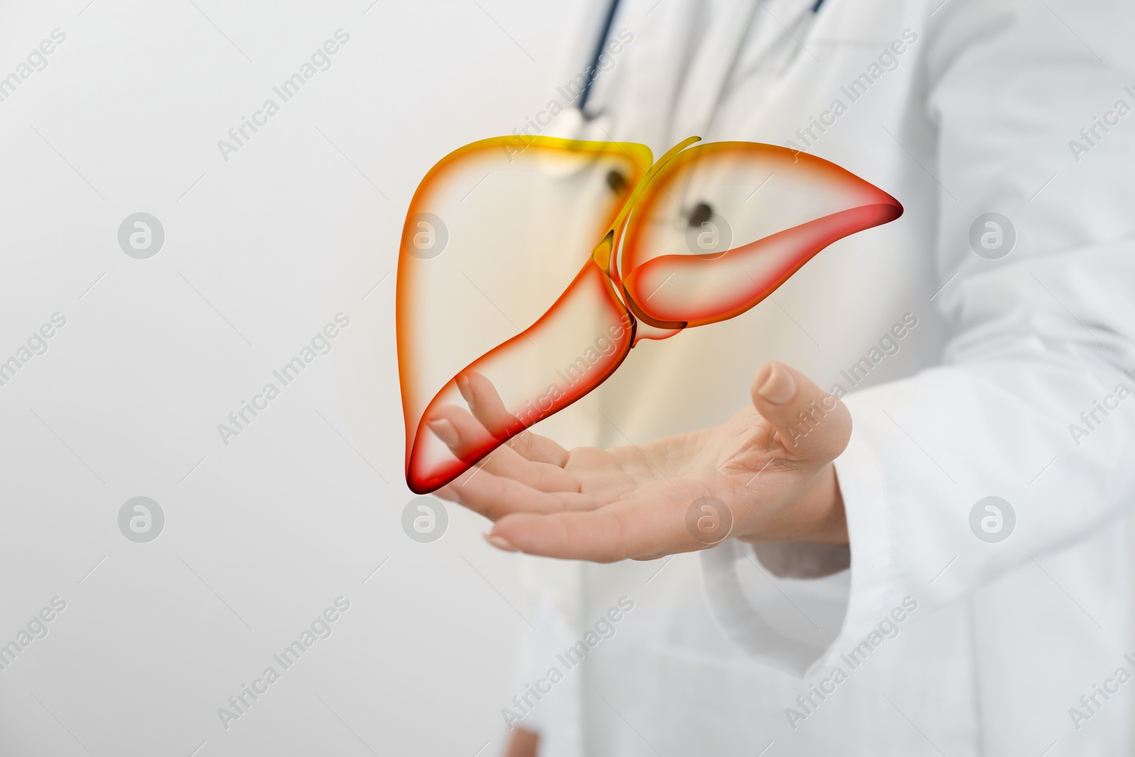 Image of Doctor holding illustration of liver on light background, closeup