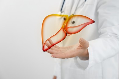 Doctor holding illustration of liver on light background, closeup