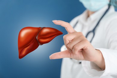 Doctor holding illustration of liver on blue background, closeup