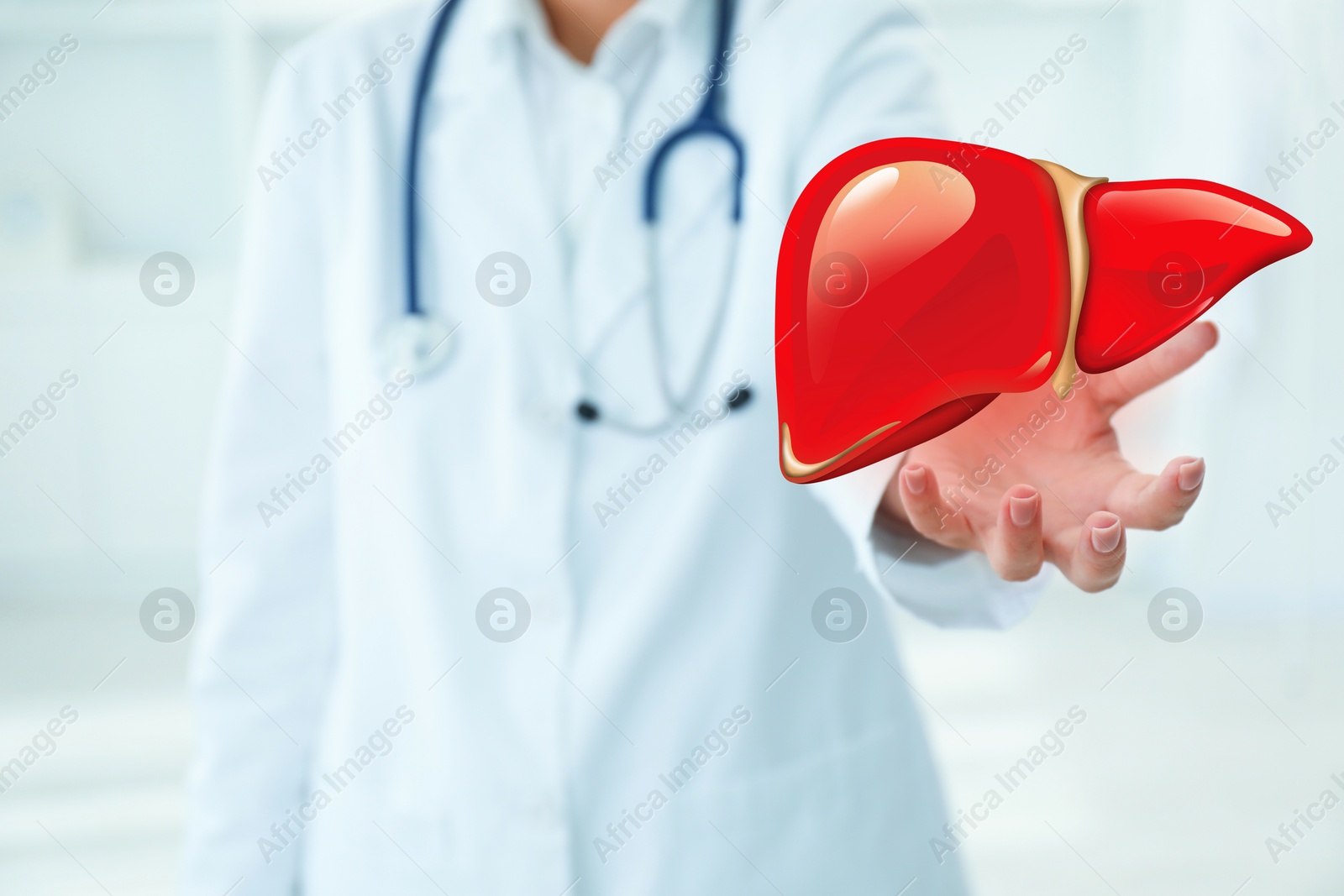 Image of Doctor holding illustration of liver indoors, closeup