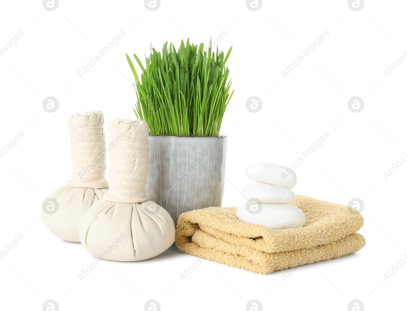 Photo of Spa composition with wheatgrass and herbal bags isolated on white