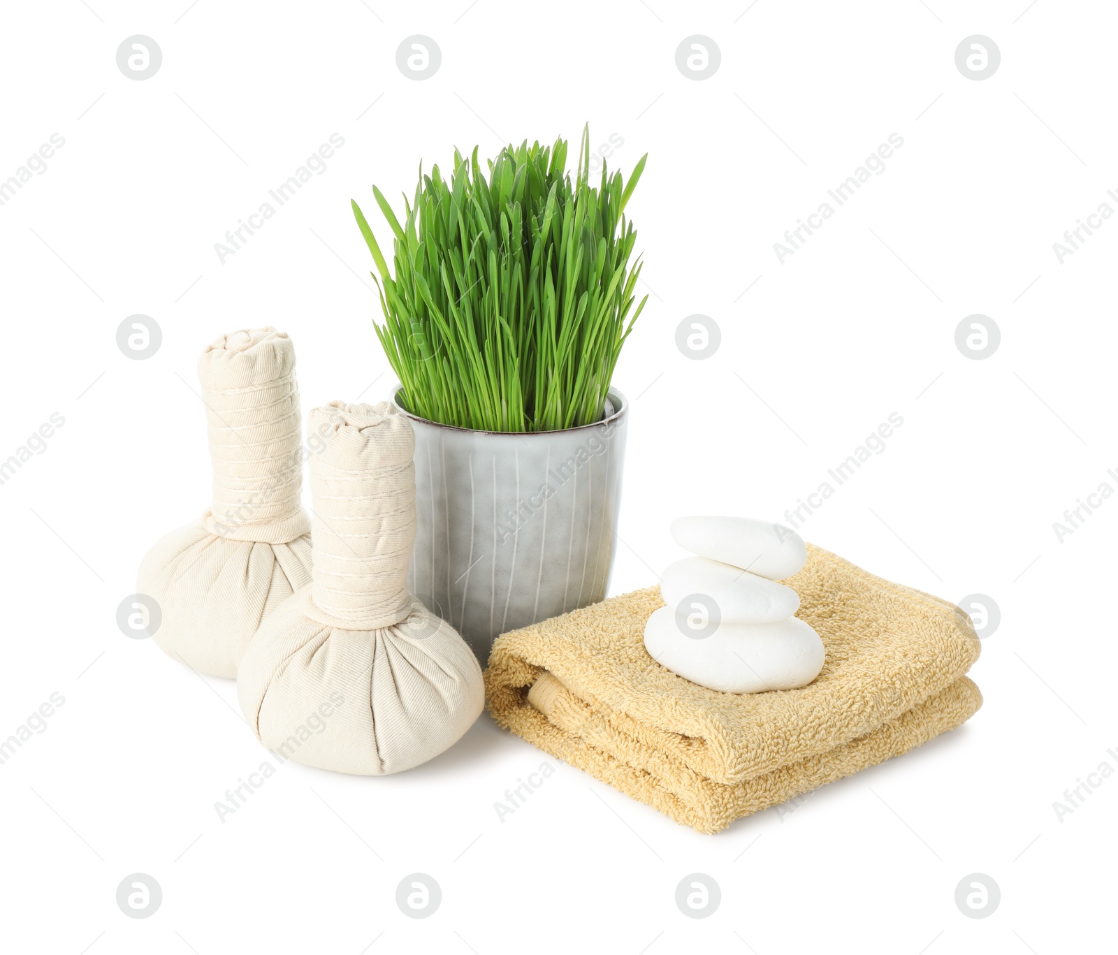 Photo of Spa composition with wheatgrass and herbal bags isolated on white