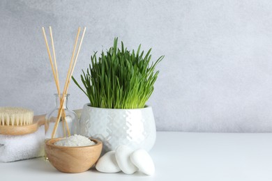 Photo of Spa composition with wheatgrass and sea salt on white table. Space for text