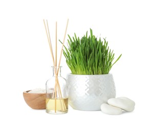 Photo of Spa composition with wheatgrass isolated on white