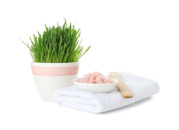 Photo of Spa composition with wheatgrass isolated on white