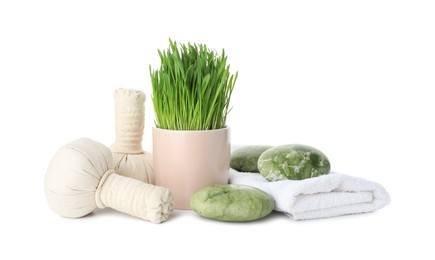 Photo of Spa composition with wheatgrass and herbal bags isolated on white