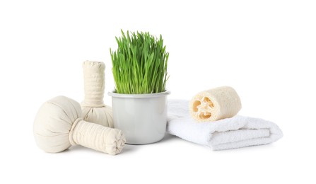 Photo of Spa composition with wheatgrass and herbal bags isolated on white