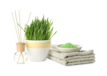 Photo of Spa composition with wheatgrass isolated on white