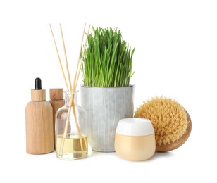 Photo of Spa composition with wheatgrass isolated on white