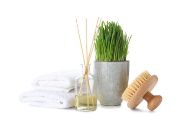 Photo of Spa composition with wheatgrass isolated on white