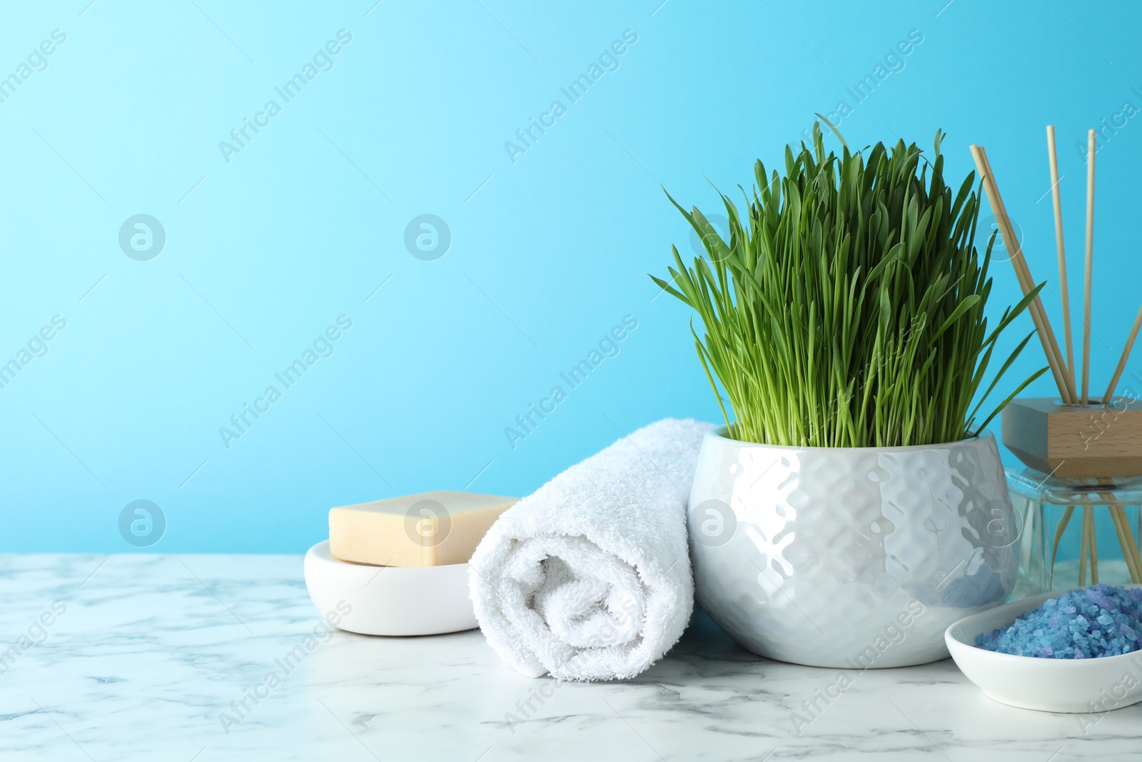 Photo of Spa composition with wheatgrass on white marble table against light blue background. Space for text