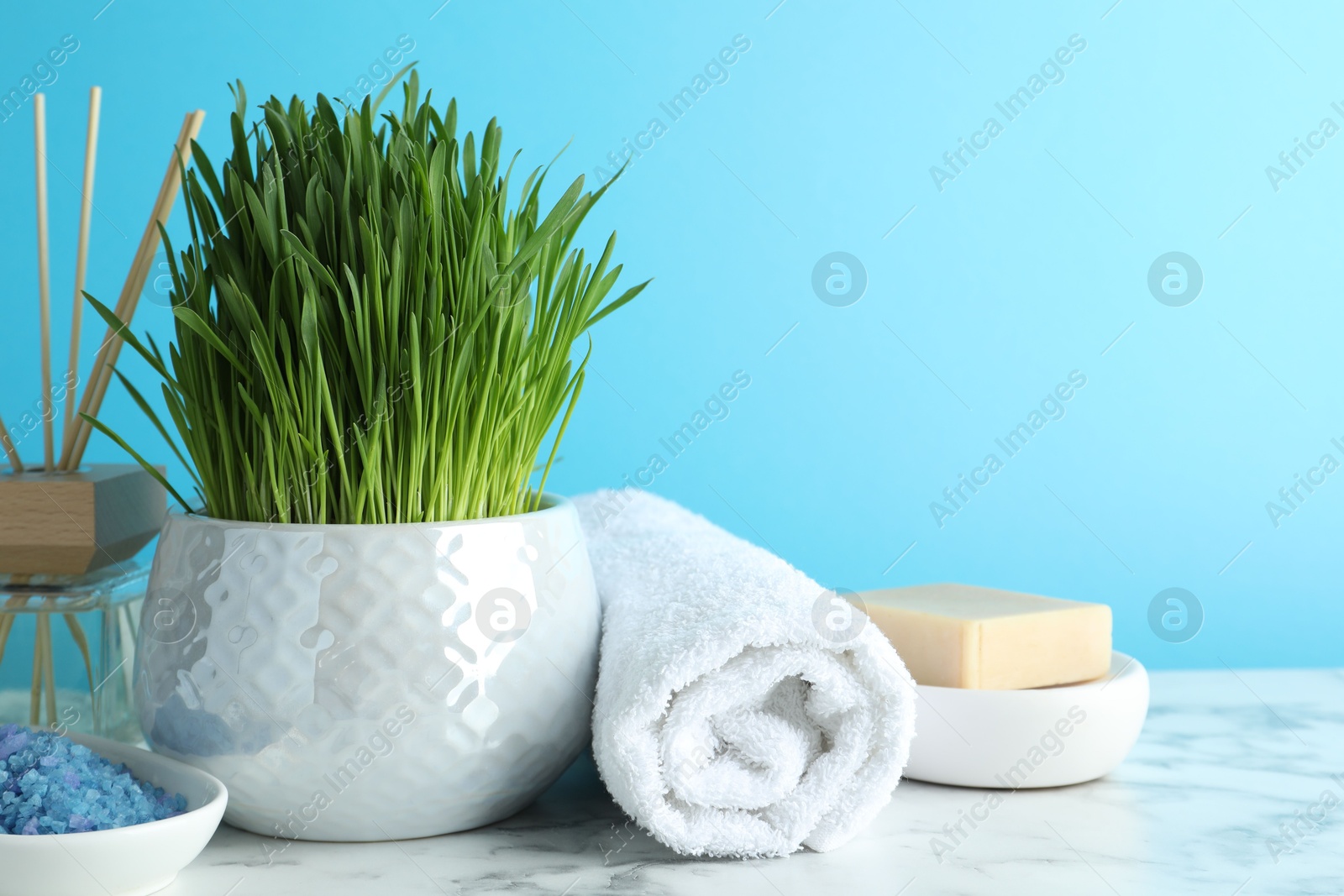 Photo of Spa composition with wheatgrass on white marble table against light blue background. Space for text