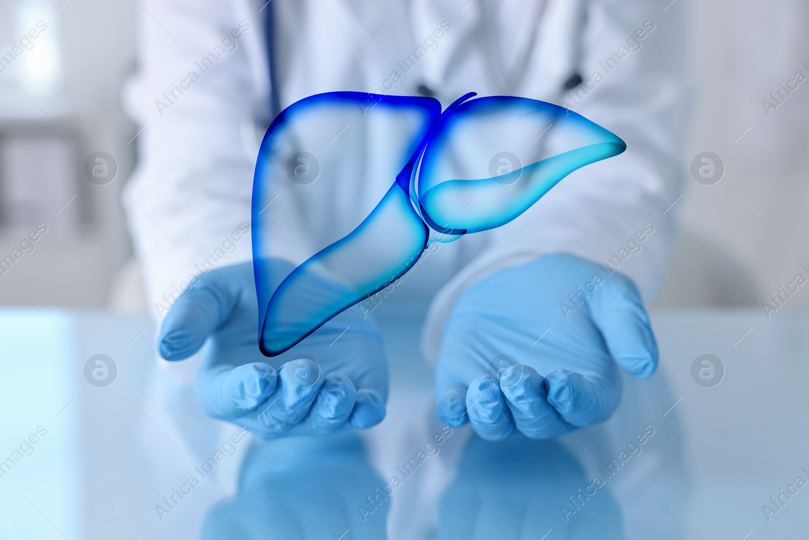 Image of Doctor holding illustration of liver indoors, closeup