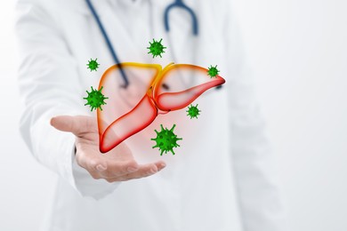 Image of Doctor holding illustration of unhealthy liver on white background, closeup