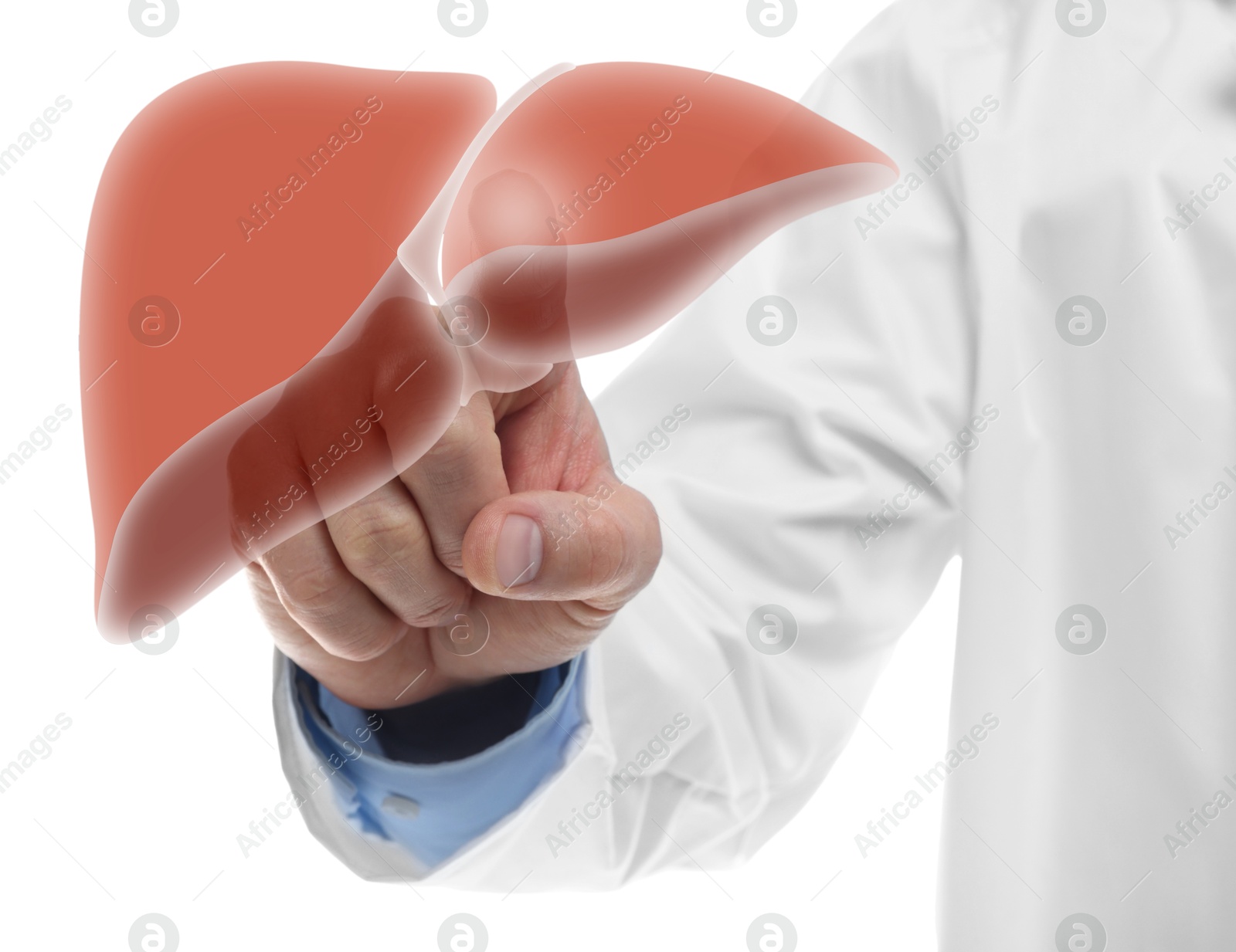 Image of Doctor pointing at illustration of liver on white background, closeup